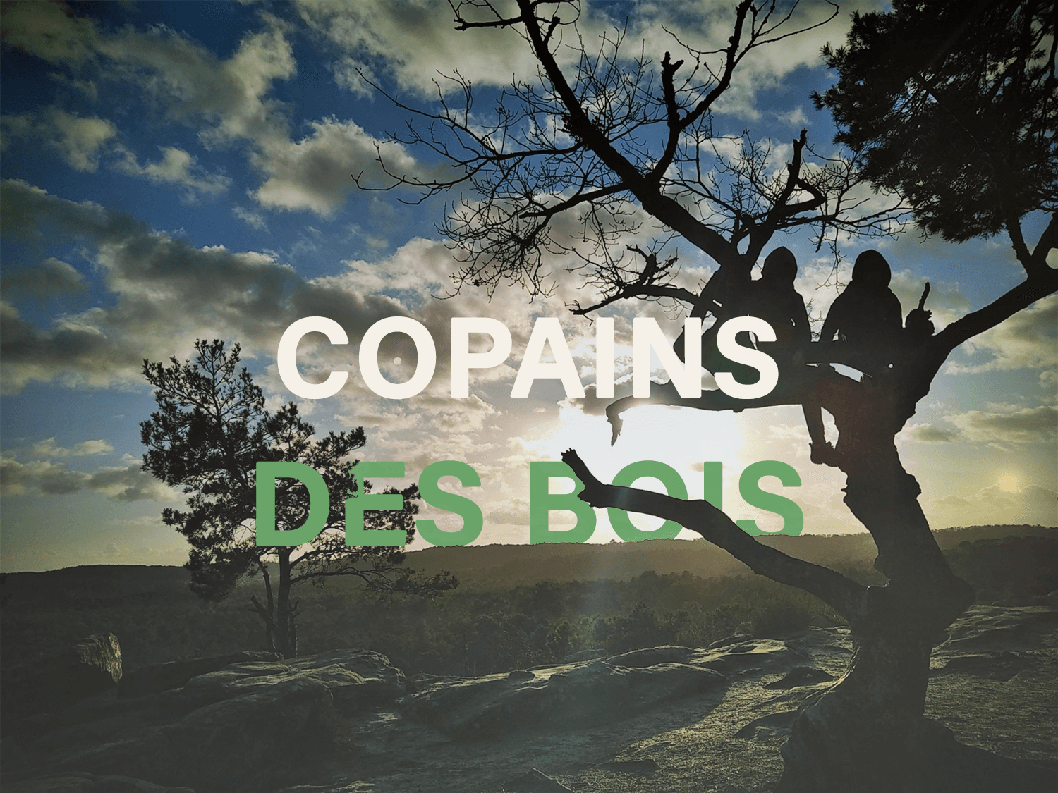 Fine settimana multisport famiglia nella foresta di Fontainebleau