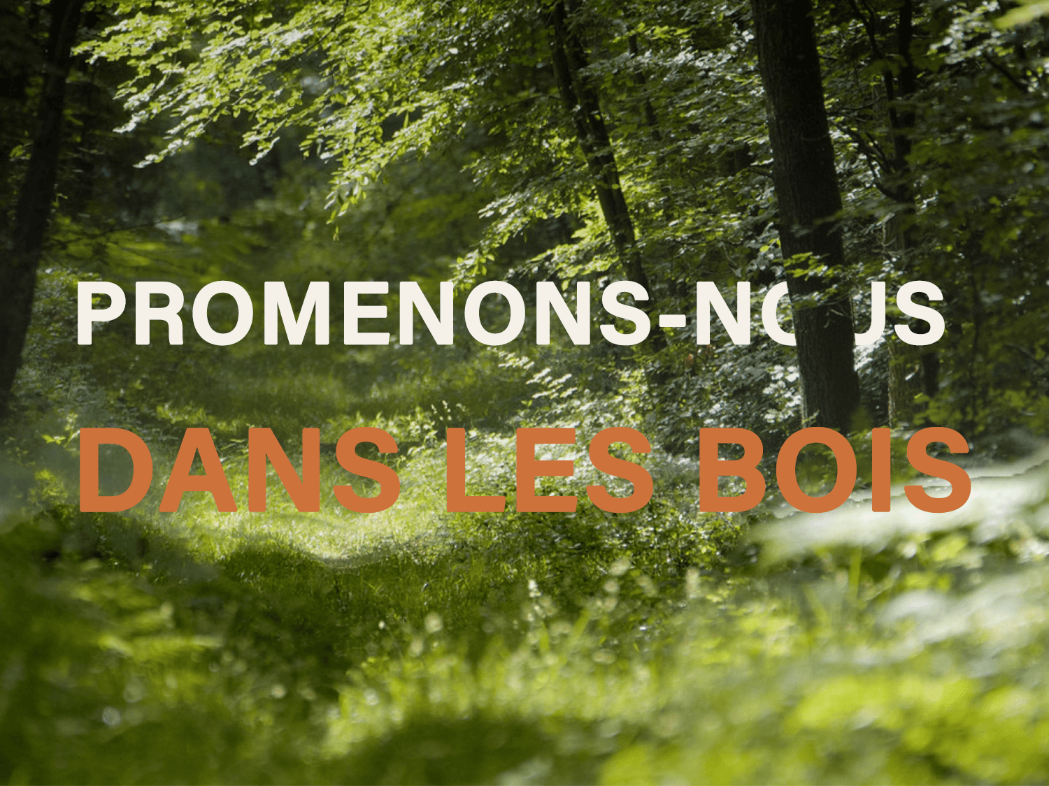Fine settimana escursionismo e bivacco nella Foresta di Fontainebleau