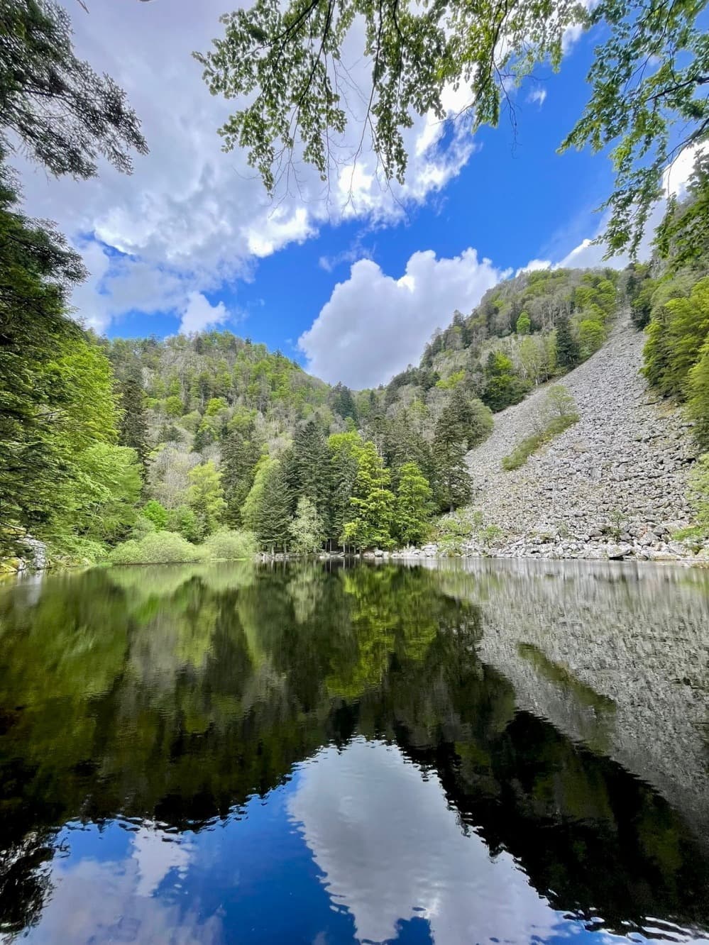 Dalla valle di Munster al rifugio, prima immersione nei Vosgi